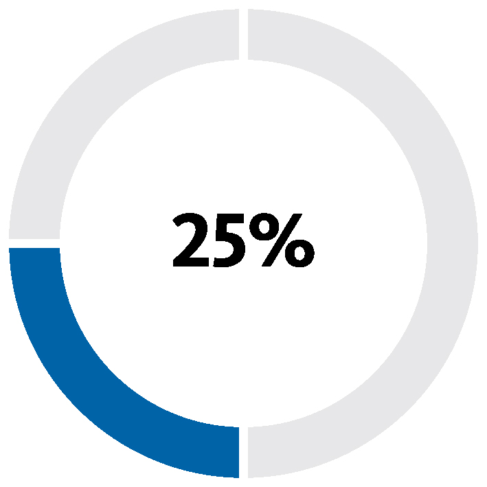 piechart_stockoptionsxpg56.jpg